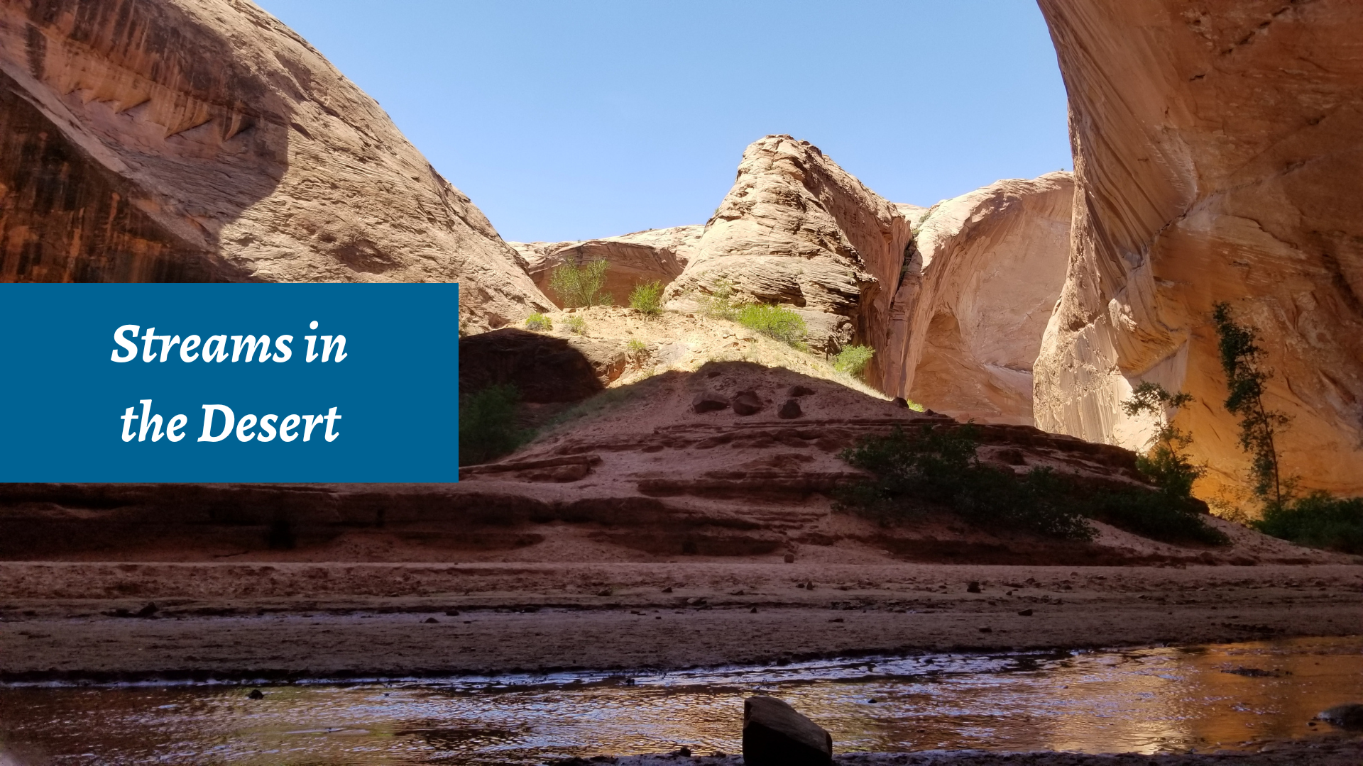 Streams in the Desert