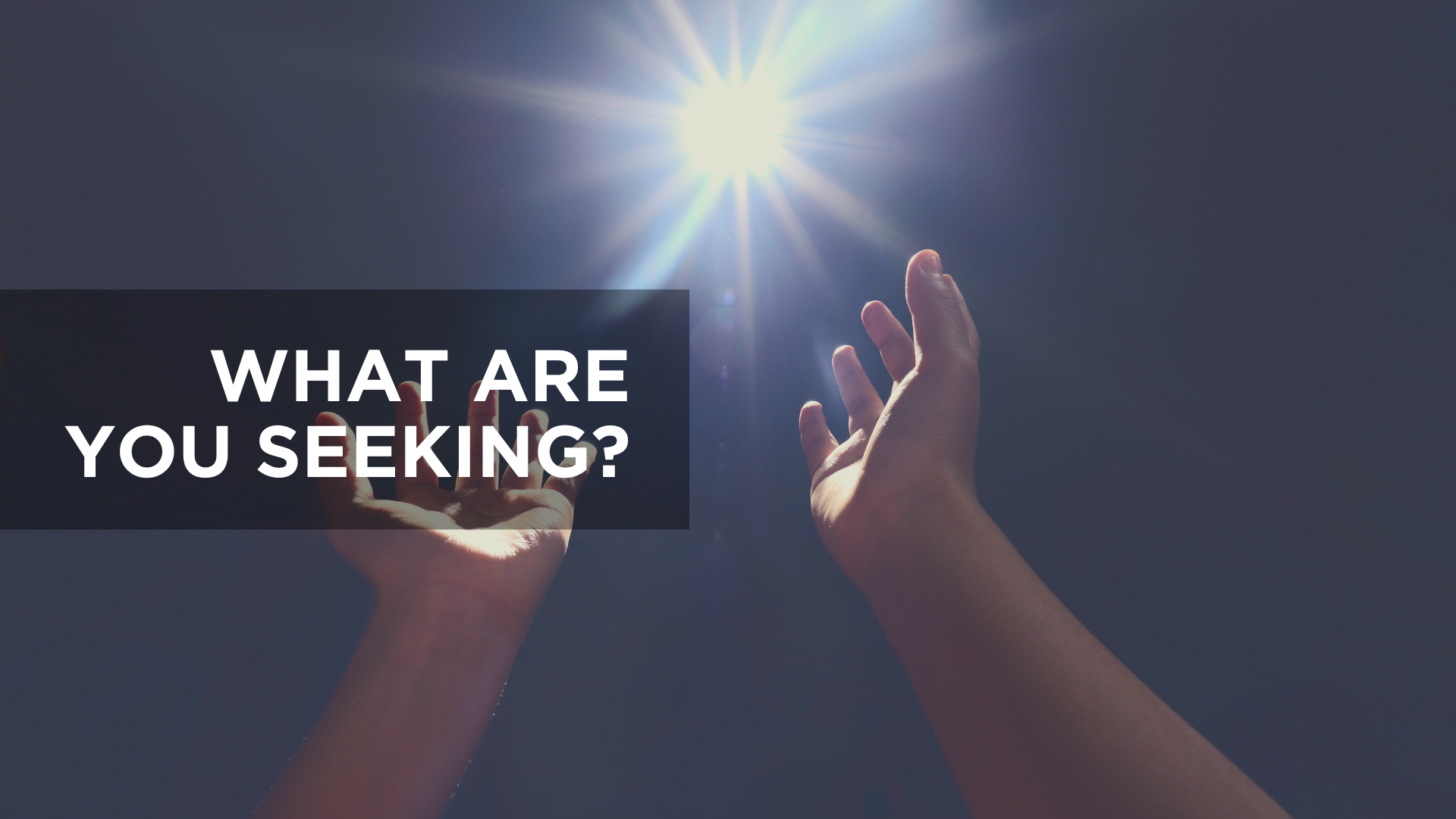 What Are You Seeking?