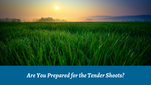 Are You Prepared for the Tender Shoots?