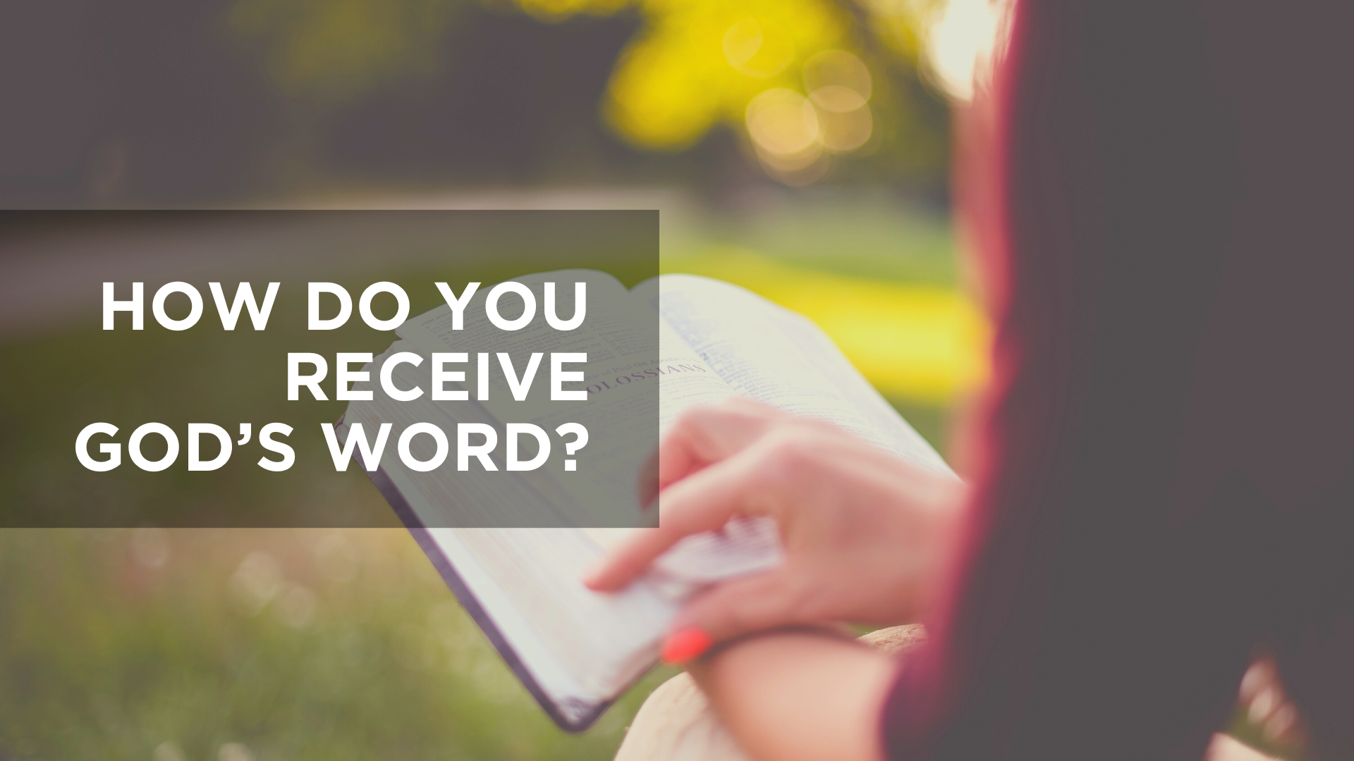 How Do You Receive God's Word?