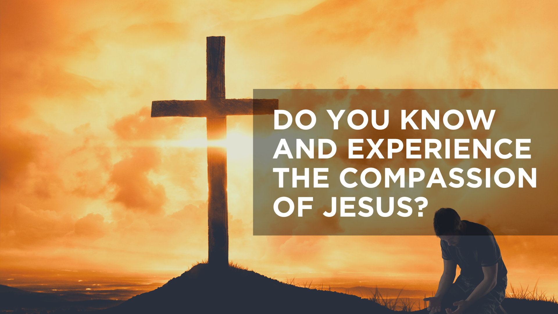 Compassion Experience Jesus Showing Compassion Dr. David T. Morgan: The Role Of