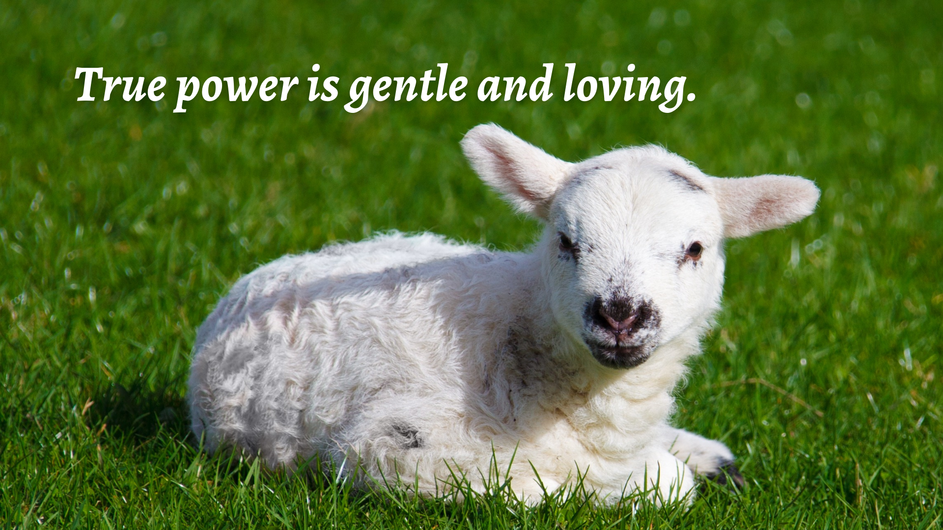 True power is gentle and loving.