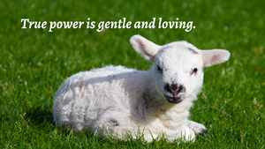 True power is gentle and loving.