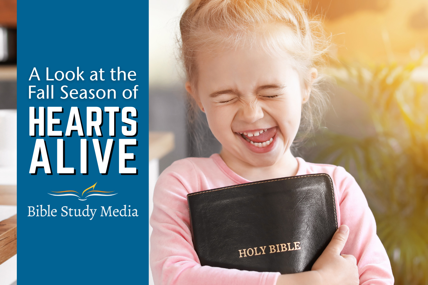 Hearts Alive Children's Curriculum