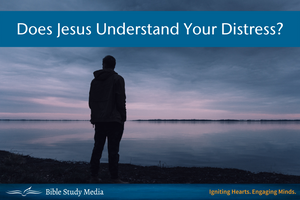 Does Jesus Understand Your Distress?