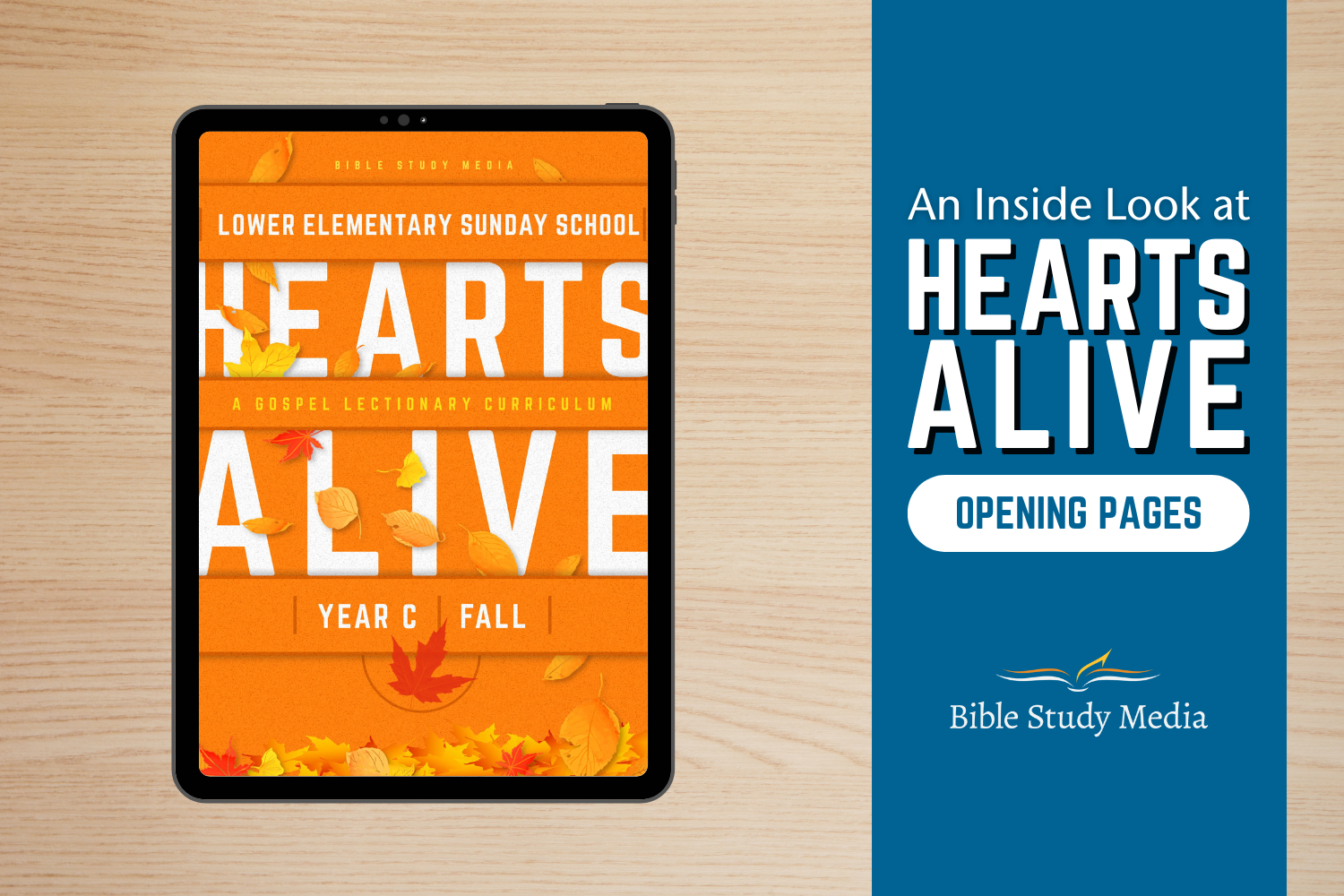 Hearts Alive Children's Curriculum