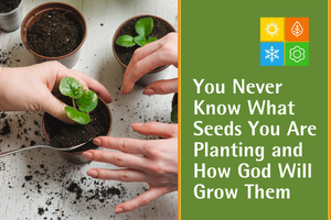 You Never Know What Seeds You Are Planting