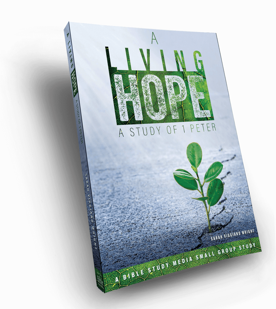 A Living Hope: A Study of 1 Peter Devotional and Study Guide Book